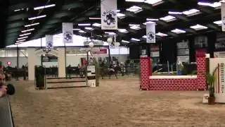 Springen Oosteind D pony klasse B