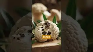 Вот ПОЧЕМУ Трюфели Такие ДОРОГИЕ #shorts