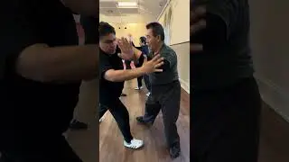 Tai Chi Push hands #qigong #taichi #pushhand
