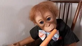 Tinky's Tea Time Party Cheeky Monkey Monday & Toddler Tuesday 1/23/23 Reborn Doll Role Play Adelaide