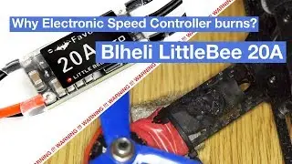 Electronic Speed Controller burns Blheli LittleBee 20A