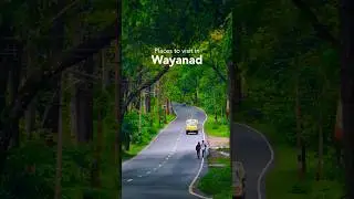 Wayanad Wonders | Places To Visit In Wayanad | Kerala Trip | Kerala Itinerary