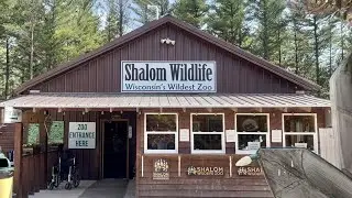 Visiting Wisconsin&rsquo;s Wildest Zoo: Shalom Wildlife Zoo // Family Adventures // Bog Life #Family