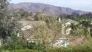 23646 Pomelo Road View