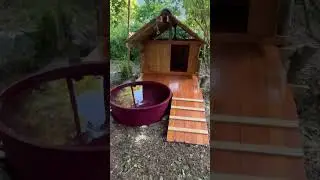 Ducks and the geese house #ducks #geese #farm #italian #countryside #yt #shortvideo