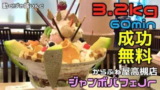 【チャレンジ】超巨大で超豪華！！ジャンボパフェJr.を攻略せよ！！〜からふね屋高槻店さん〜【大食い】