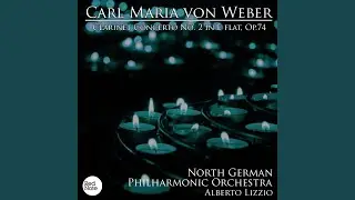 Clarinet Concerto No.2 in E Flat, Op.74: II. Andante con moto