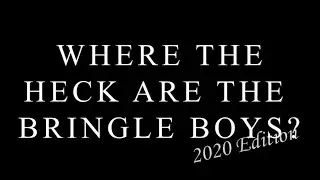 Where the Heck are the Bringle Boys?: 2020 Edition