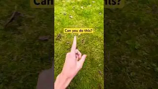This video has 0 likes