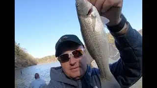 Multi-Species Fishing Trip