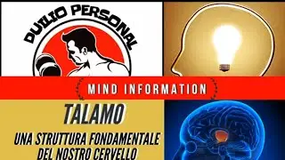 TALAMO: Una struttura fondamentale del nostro cervello