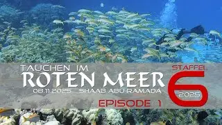 Shaab Abu Ramada : Tauchen im Roten Meer - Staffel 6 - Episode 1 :  2025 : Abu Scharara