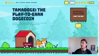 SAMOYED MEME COIN PRICE PREDICTION | HUGE PUMP! 🔥 Tamadoge Next Rival? 👀