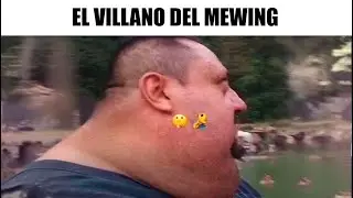 MEMES RANDOM #604