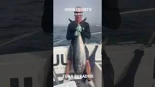 Tuna Paradise #viral #video #viralvideo #fish #fishing #tuna #jigging #popping #fishingvideo