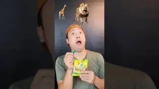 Aneka Binatang Yupi Safari🦒 #asmr #mukbang #permenyupi #videomakan #hiburananak #binatang