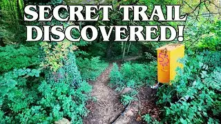 Secret Forest Trail in Luxembourg 🇱🇺 | Peaceful 4K Nature Walk