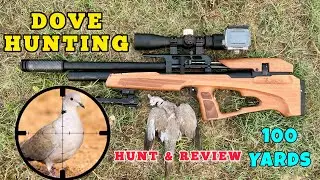 Collared Doves Hunting | Snowpeak P35x Airgun | #dovehunting
