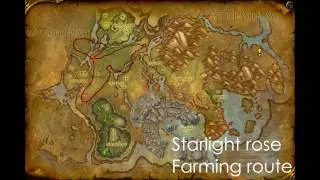 Starlight rose farming route