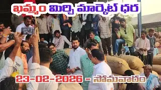 22/02/2026 khammam mirchi market price khammam mirchi market today #dharalu #mirchi#mirchiratetoday