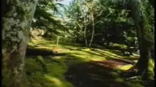 Richard Haag Seattle Landscape DNA, part 2 - Bloedel Reserve