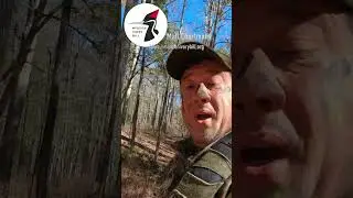 The Last Chance to Find the Ivory-Billed Woodpecker