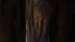 LURAY CAVERNS WALKTHROUGH