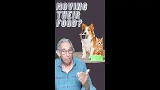 DOG or CAT Moves Their Food or Bowl to Another Spot?