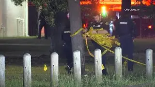 Teen Killed, Another Injured in Shooting at Houston Block Party