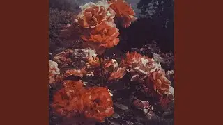 For Her