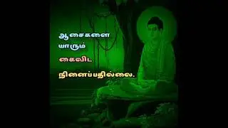 Famous buddha quotes in tamil #shorts #youtubeshorts #status #whatsapp Cozy Thoughts #quotes #buddha