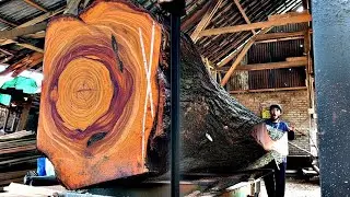 Everyone Was Shocked When We Opened This Red Log! || Sawmill 