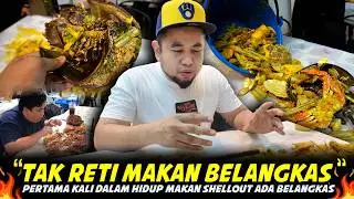 TAK RETI MAKAN..MEMANG TERKEJUT PERTAMA KALI JUMPA..Makan Belangkas Dalam Shellout Masak Lemak