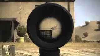 Assault Rifles with M145