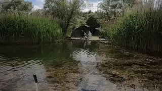 Szucsi 2019