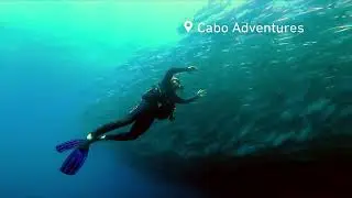 D&eacute;jate llevar por la magia de Los Cabos y atr&eacute;vete a vivir experiencias &uacute;nicas en Cabo Adventures.