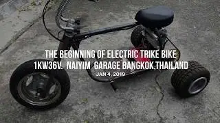 Electric Trike Bike  1000w Brush motor