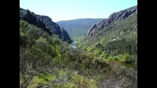 Parque Nacional de Monfragüe. Fauna y flora