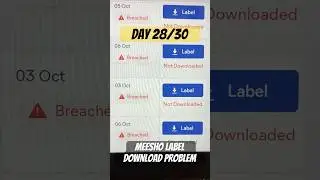 Meesho Label Download Problem Solve 🔥 | Day 28 of 10 Lakh Sales Challenge