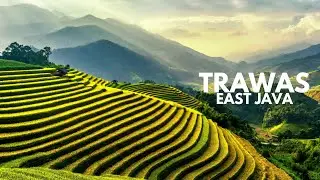 EXPLORE TRAWAS