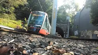 Alstom Citadis 305s on the Inner West Light Rail