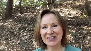 The Wild Scribe: Tools and Techniques for Journaling in Nature, May 22-24, Hawkwood College, Stroud
