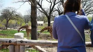 Omaha's Henry Doorly Zoo and Aquarium: 2021 Omaha Metropolitan Area Tourism Award Winner