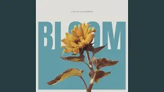 Bloom