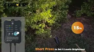 COLOER All-in-One Low Voltage Landscape Lighting Kit