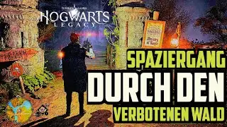 Der verbotene Wald (was erwartet dich) || Hogwarts legacy Deutsch||🧙🪄Ps5 Gameplay #003
