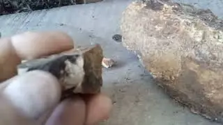 rusty altered andesite rocks