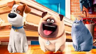 Secret Life of Pets - Coffin Dance Song [COVER]
