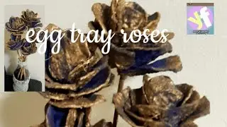 Egg tray Roses
