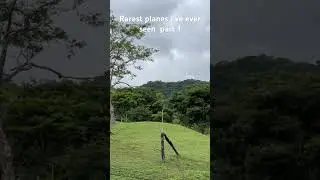 Rarest planes I&rsquo;ve ever seen